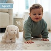 image:imageGUND Baby Clover Bunny Plush Bunny Stuffed Animal for Babies and Toddlers Cream 10