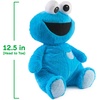 image:imageGUND Sesame Street Official Oh So Snuggly Cookie Monster Plush Plush Muppet Sensory Toy Stuffed Animals for Babies and Infants Red 125