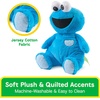 image:imageGUND Sesame Street Official Oh So Snuggly Cookie Monster Plush Plush Muppet Sensory Toy Stuffed Animals for Babies and Infants Red 125