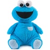 image:imageGUND Sesame Street Official Oh So Snuggly Cookie Monster Plush Plush Muppet Sensory Toy Stuffed Animals for Babies and Infants Red 125