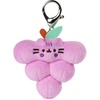 image:imageGUND Pusheen Fruit Surprise Plush Series 21 Mystery Unboxing Multicolor 3 UNbox 1 of 8 Mystery Styles1 Pack of 2