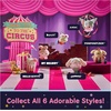 image:imageGUND Hello Kitty amp Friends 3Inch Surprise Circus Plush 1 of 6 Styles35