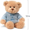 image:imageGUND Its a Boy 12Inch Message Bear with Blue TShirt Ages 0Its a Boy Blue Tshirt