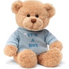 image:imageGUND Its a Boy 12Inch Message Bear with Blue TShirt Ages 0Its a Boy Blue Tshirt