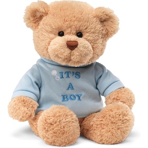 image:imageGUND Its a Boy 12Inch Message Bear with Blue TShirt Ages 0Its a Boy Blue Tshirt